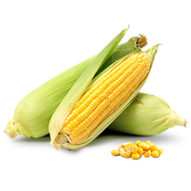 ROOLY Corn Oil